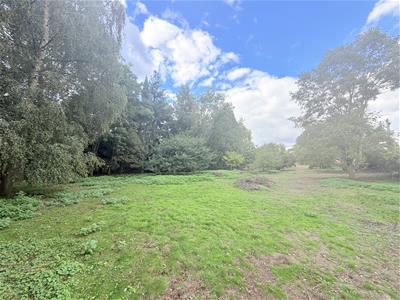 Picture 24